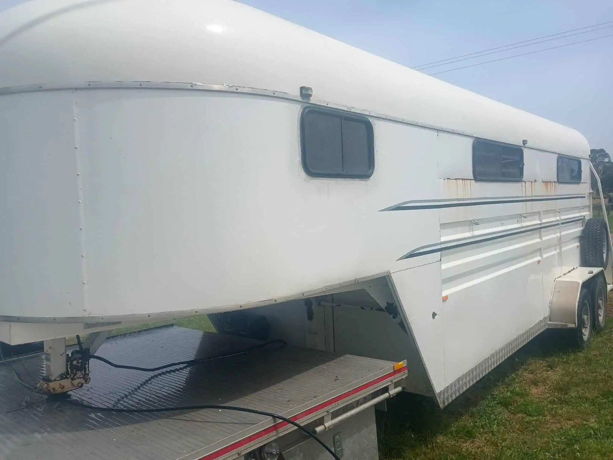 Gooseneck Thorough Restore