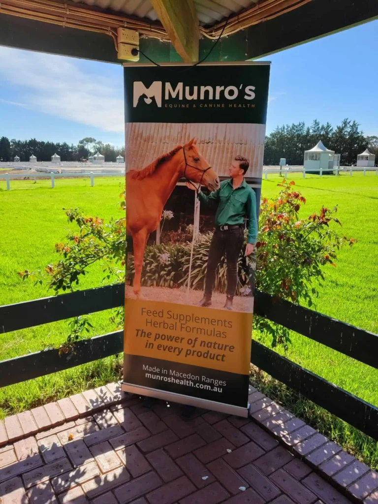 Macedon Ranges Dressage Championships