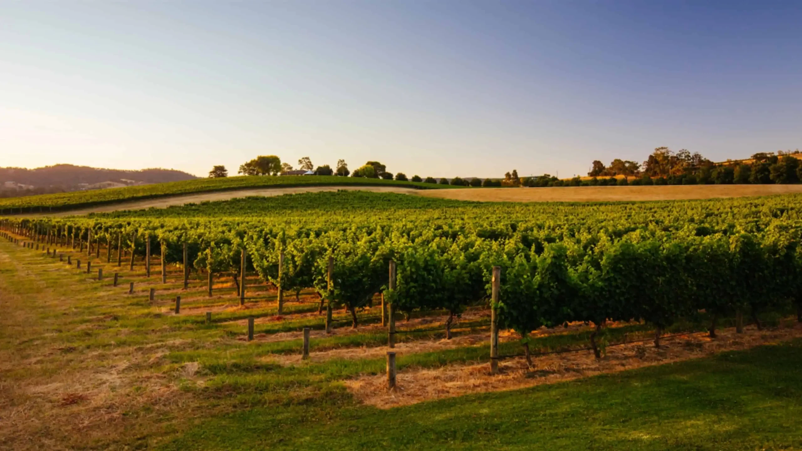 Yarra valley